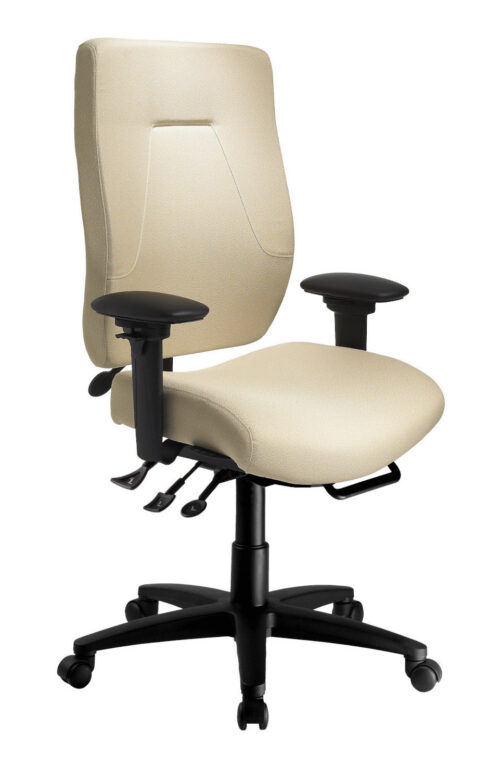 eCentric Executive Multi Tilt Heavy Duty Chair (400 lbs weight capacity)